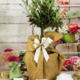 ulovo-bonsai-decorato-con-stoffa-juta-e-nastro-beige-trapuntato
